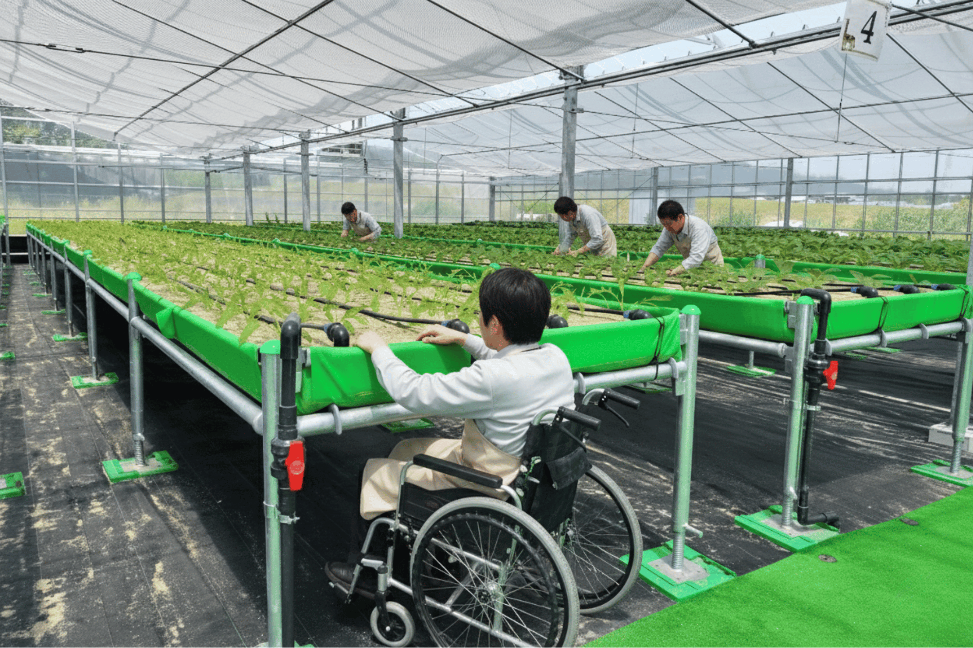 Workplace831 高床式砂栽培農園